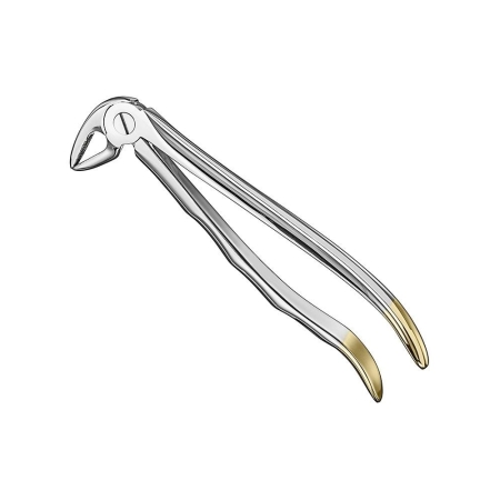 Extracting forceps, anat.